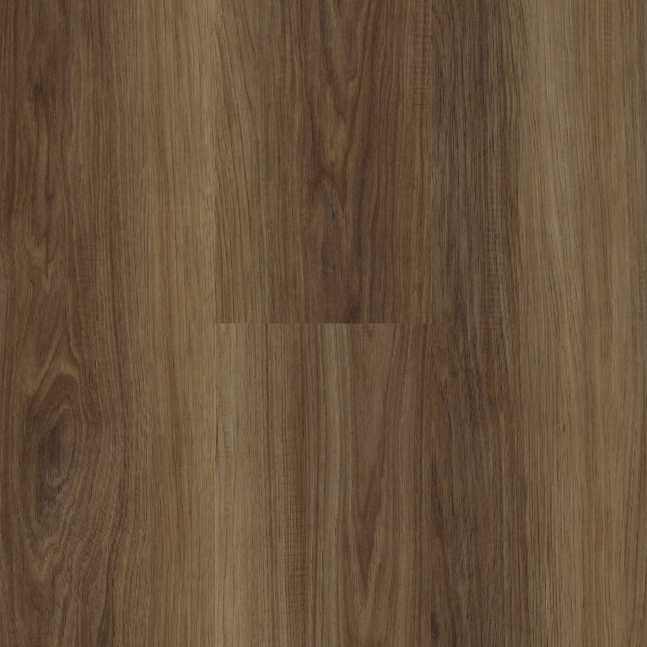 Wildwood — Next Floor®